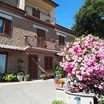 Il Mandolino Tra E Bolsena 奥维多