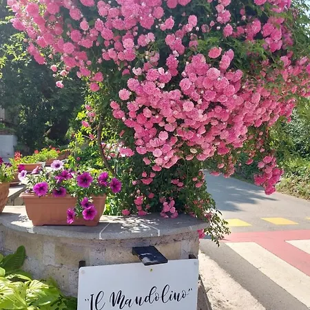 Il Mandolino Tra E Bolsena Apartment