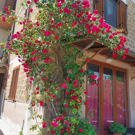 Apartment Il Mandolino Tra E Bolsena Orvieto