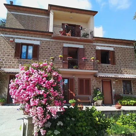 Il Mandolino Tra E Bolsena *
