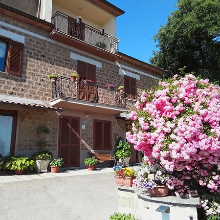 Il Mandolino Tra E Bolsena Orvieto