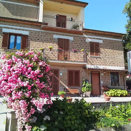Il Mandolino Tra E Bolsena アパート オルヴィエート