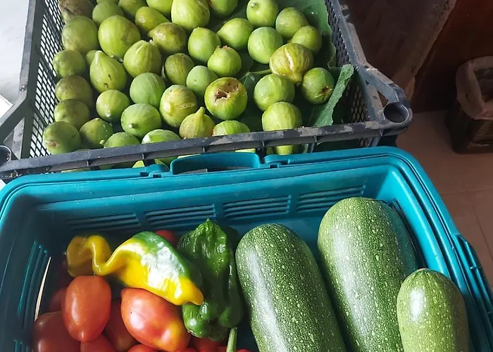 Il Mandolino Tra E Bolsena Apartamento
