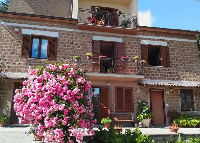 Il Mandolino Tra E Bolsena *