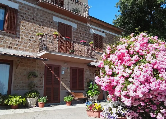 Il Mandolino Tra E Bolsena Orvieto